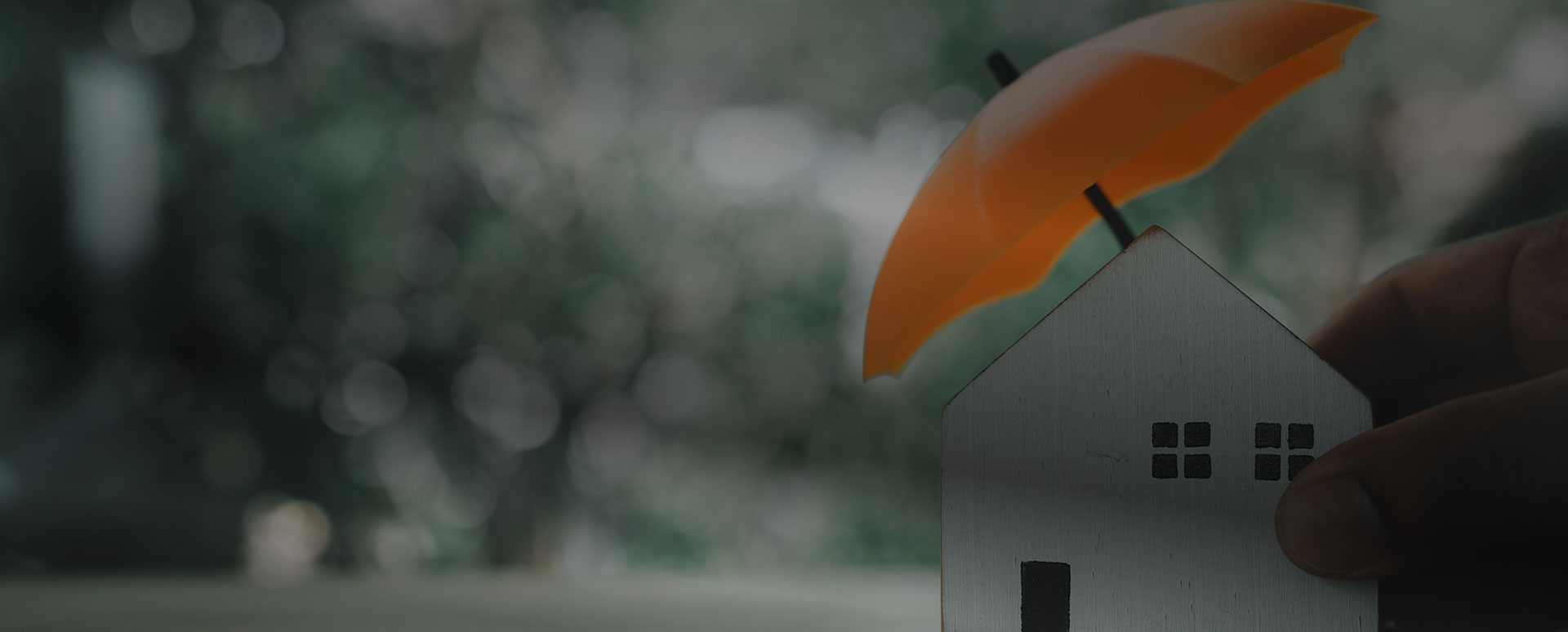 Home model